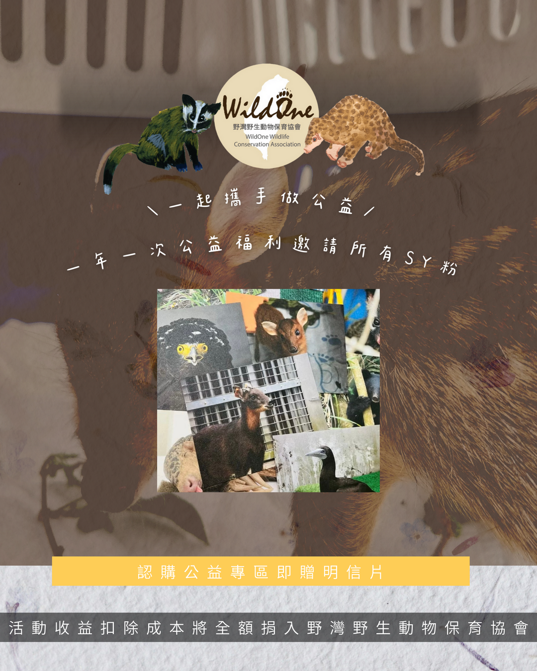 野灣3.png